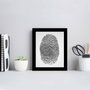 Wallity Cuadro Decorativo SCT-050 Multicolor